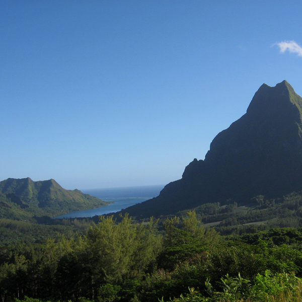 Baie d'Opunohu