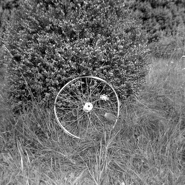 Roue de bicyclette abandonnée