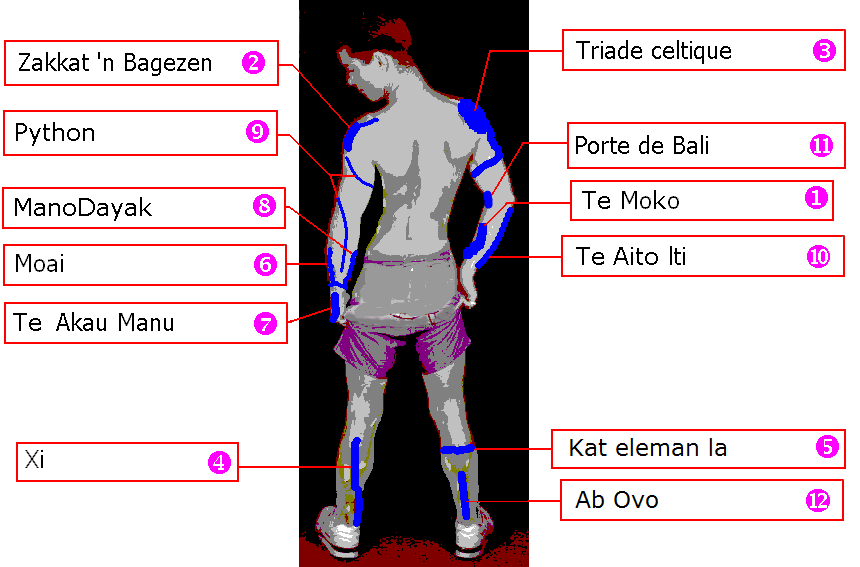 Carte des tatouages